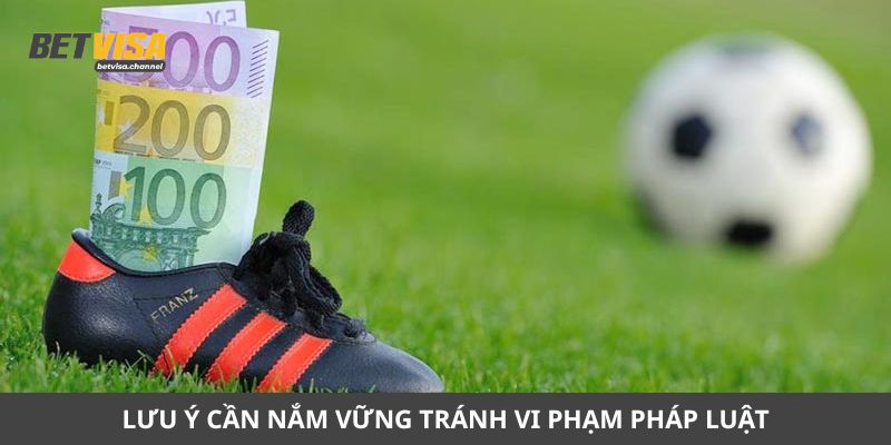 Lưu ý cần nắm vững tránh vi phạm pháp luật