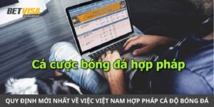 việt nam hợp pháp cá độ bóng đá