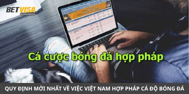 việt nam hợp pháp cá độ bóng đá